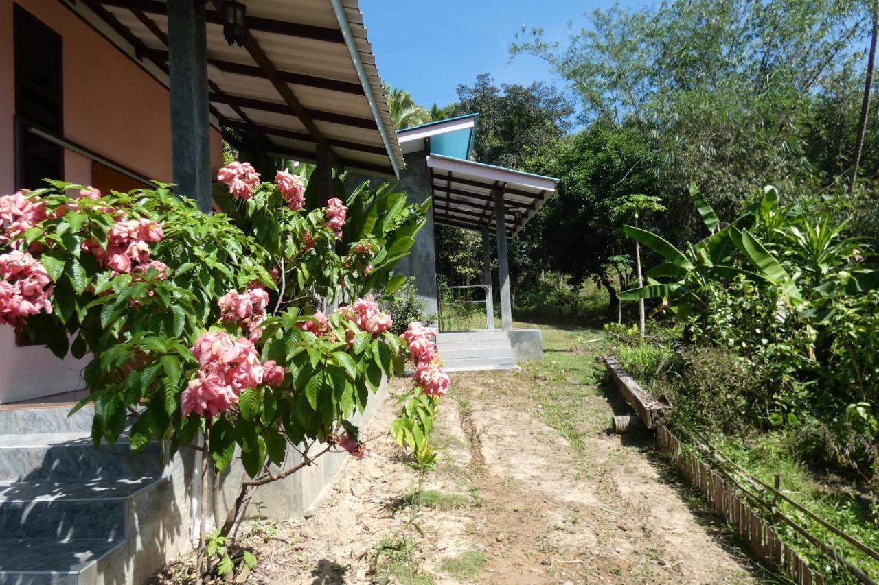 Chom Suan Homestay Ko Kut المظهر الخارجي الصورة