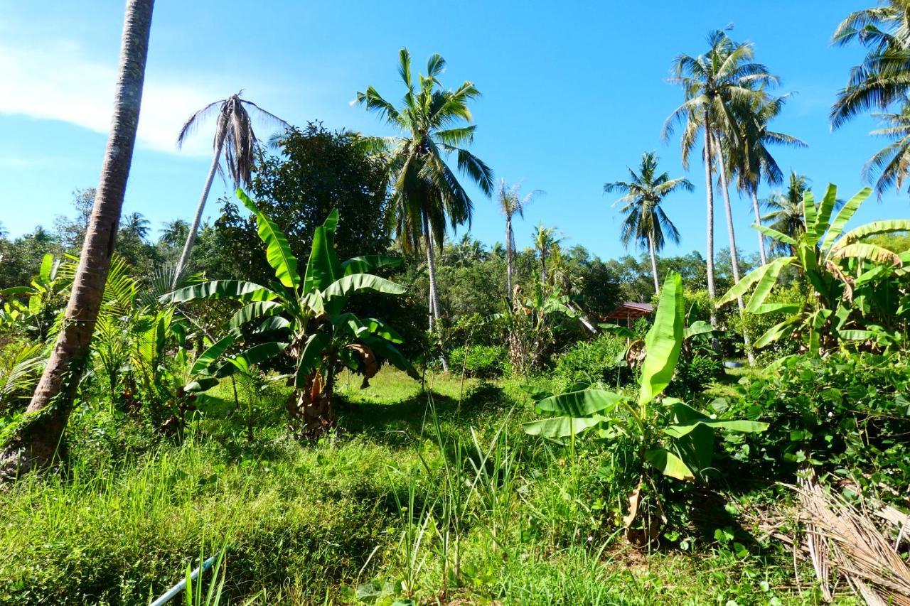 Chom Suan Homestay Ko Kut المظهر الخارجي الصورة