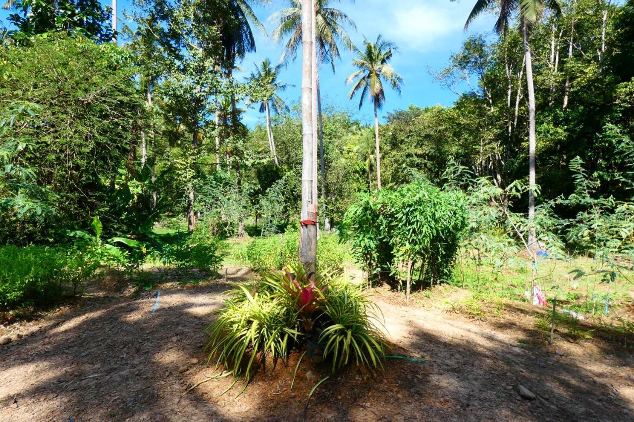 Chom Suan Homestay Ko Kut المظهر الخارجي الصورة