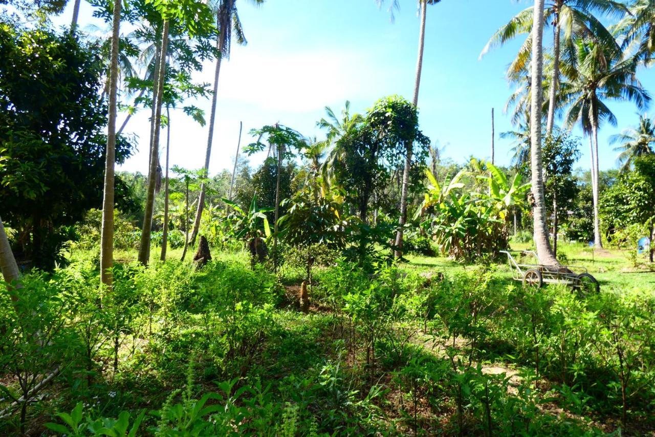 Chom Suan Homestay Ko Kut المظهر الخارجي الصورة